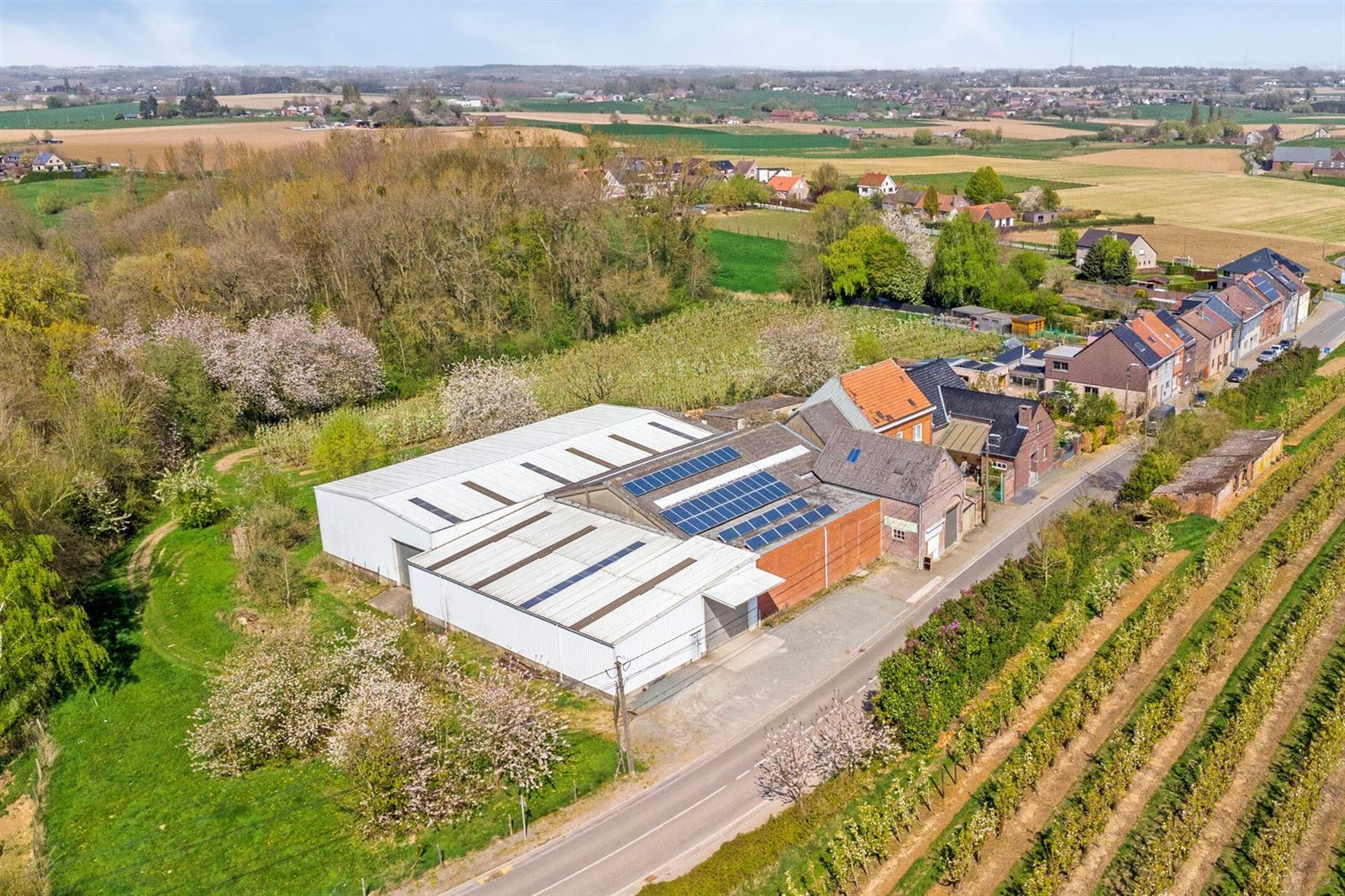Te renoveren woning met schuur en loodsen  foto 4