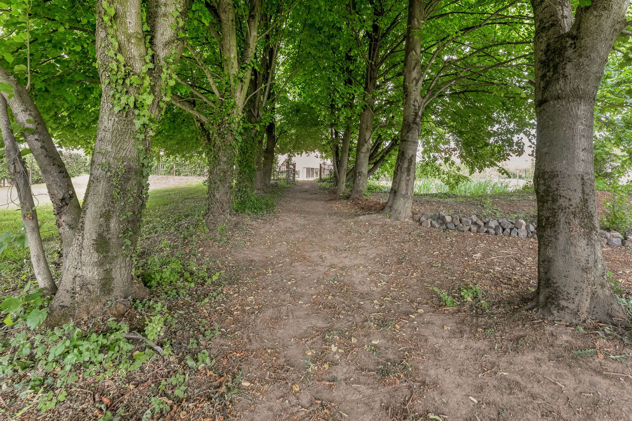 Vierkantshoeve met 3 woningen te Valmeer foto 39