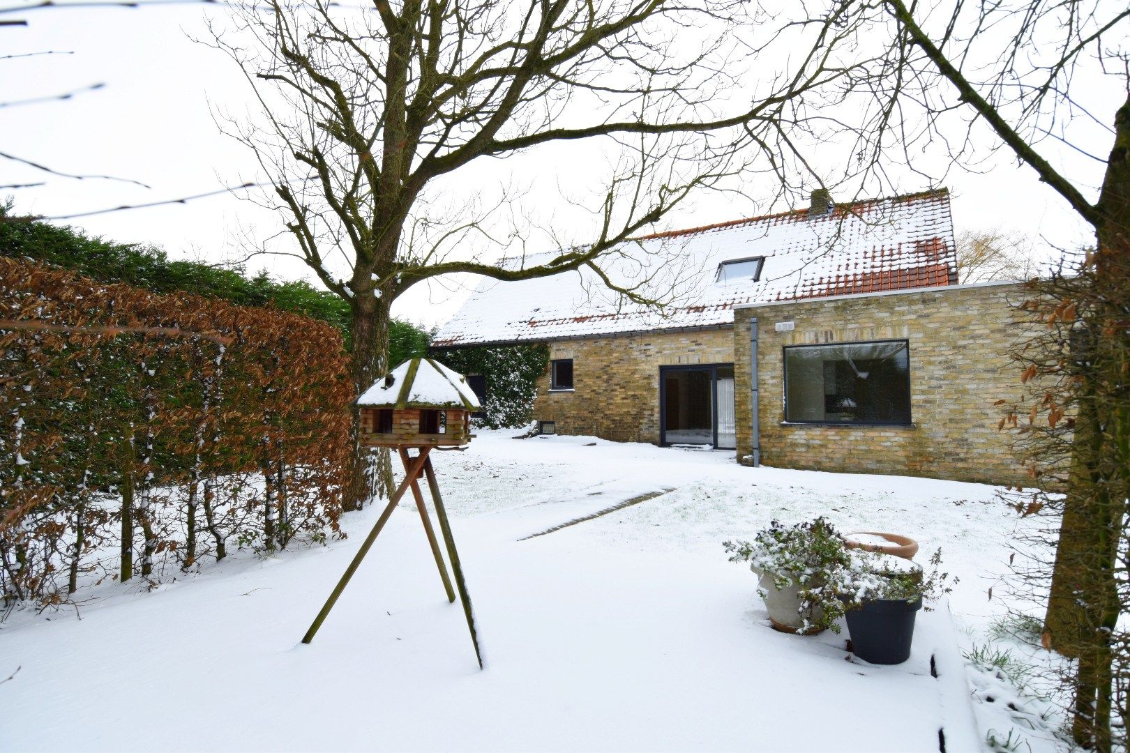 Landelijk wonen in alle comfort én met 4 slaapkamers te Sint-Eloois-Winkel foto 6