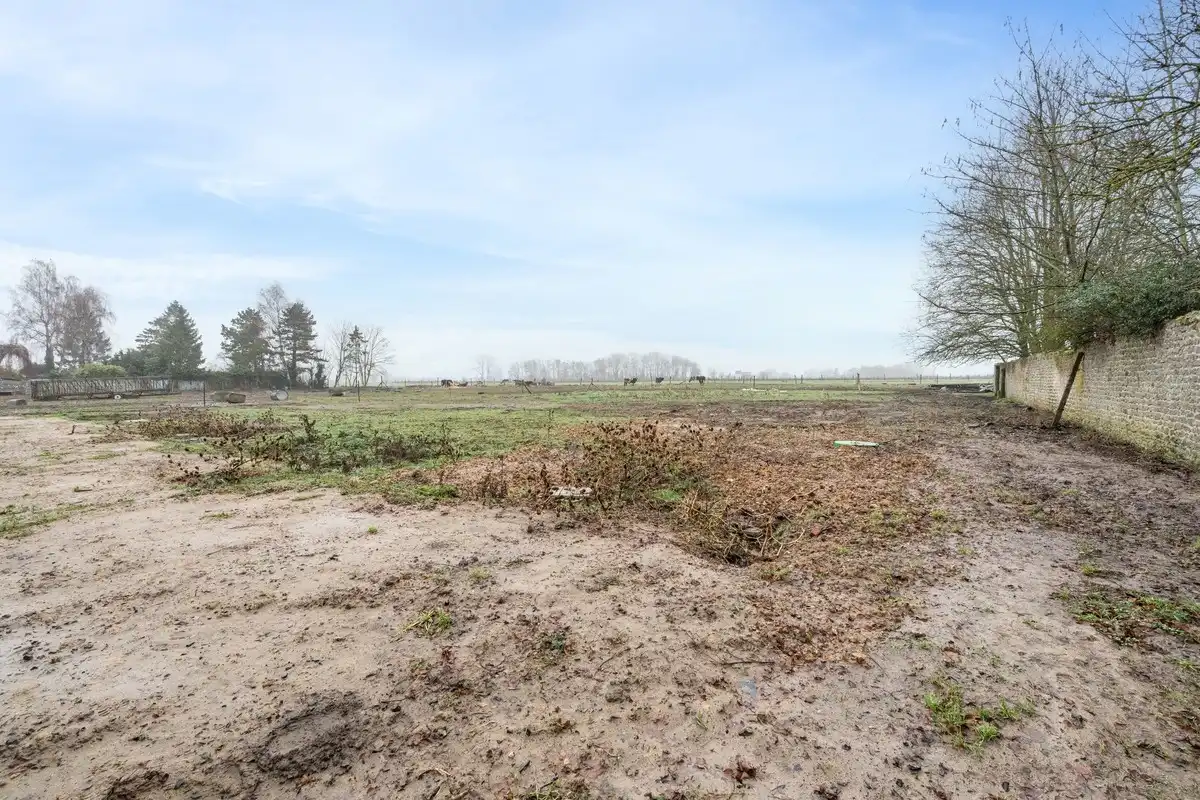 4 maisons neuves situées au calme à Wiers. foto 17