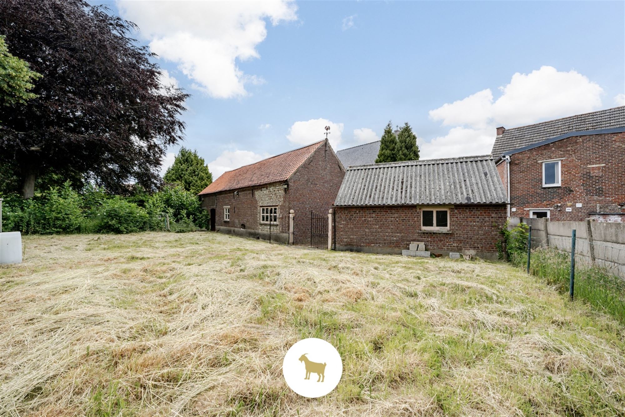 Ruime DORPSWONING met SCHUUR, BIJGEBOUW, BINNENKOER, TUIN & 4 (tot 5) SLAAPKAMERS, op een PERCEEL grond van ca. 920m² foto 9