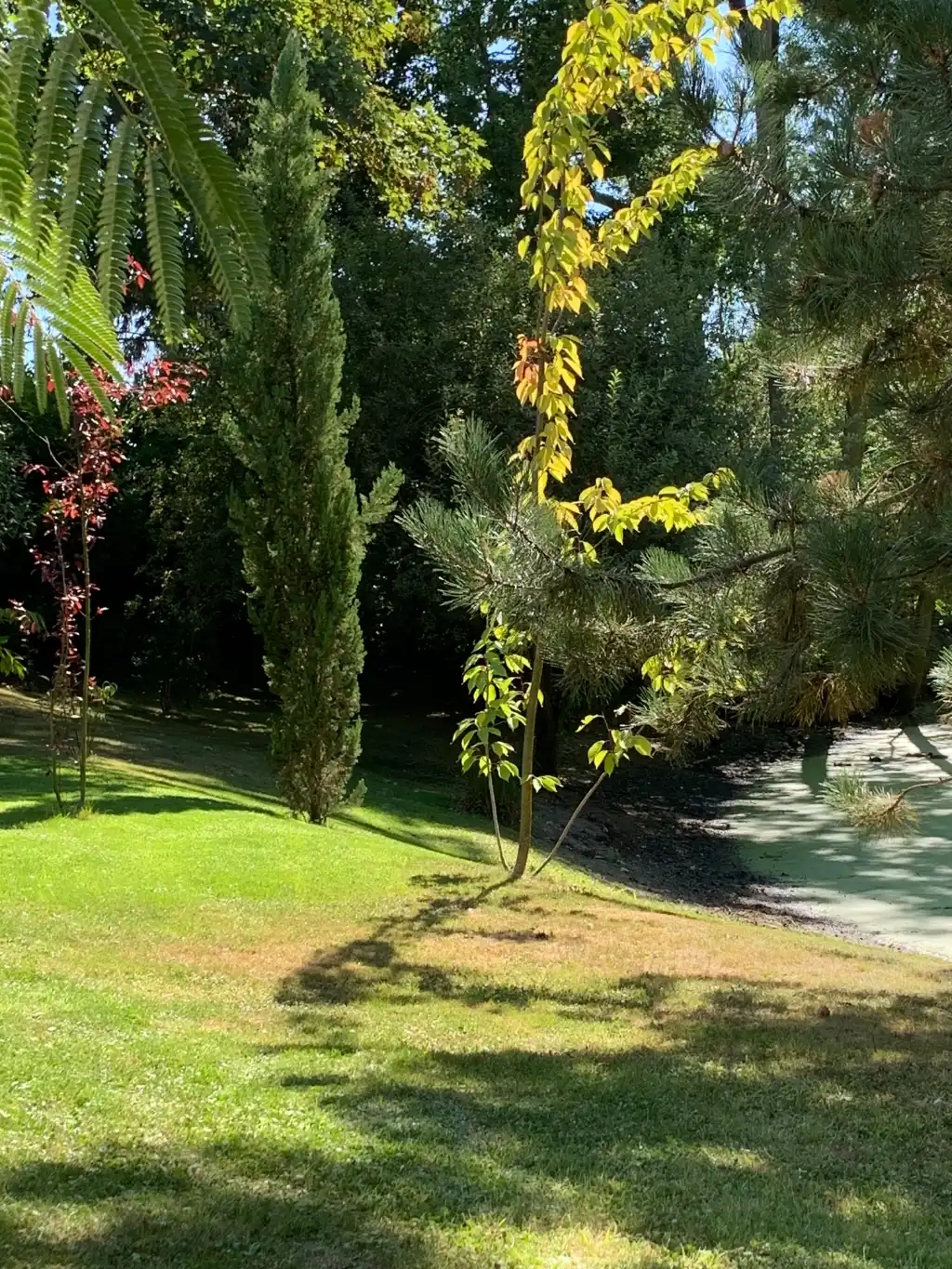 Architecturale laagbouwvilla met binnenzwembad en unieke beleving met het omliggende landschap. foto 26