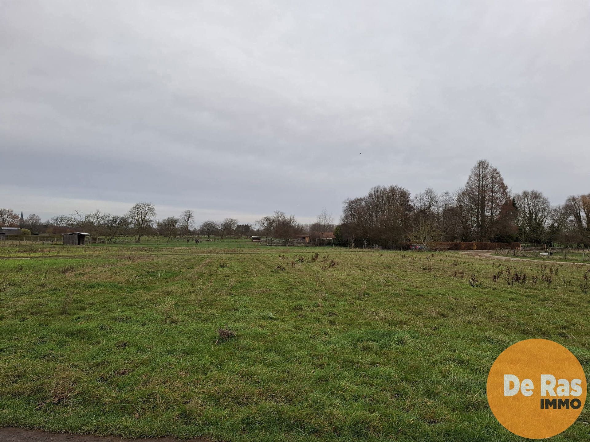 HAALTERT– Perceel weiland van 35a 76ca foto 8