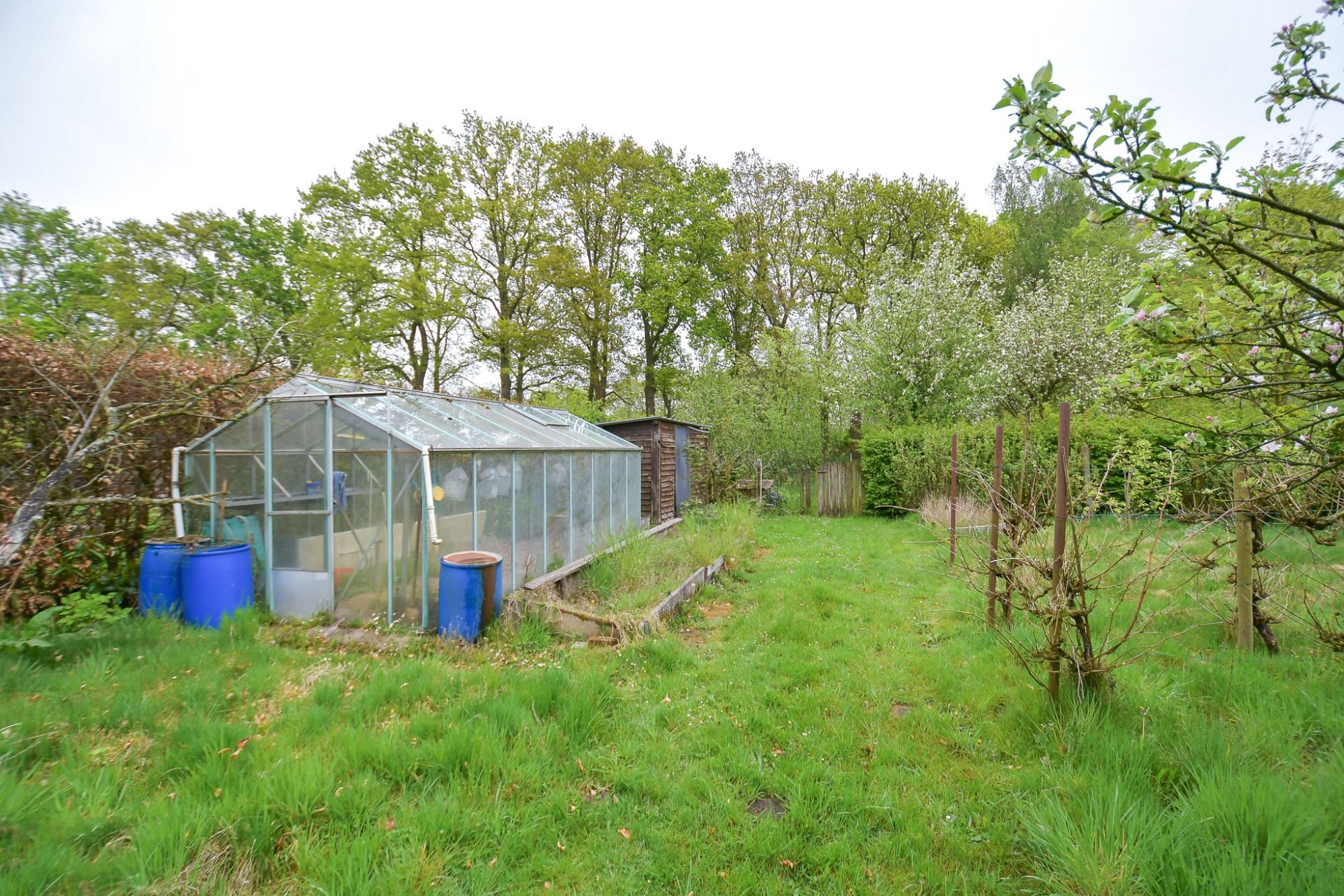 GOED GELEGEN WONING met prachtige idyllische tuin en uitweg op een perceel van 2034 m² met landelijke uitzichten foto 9