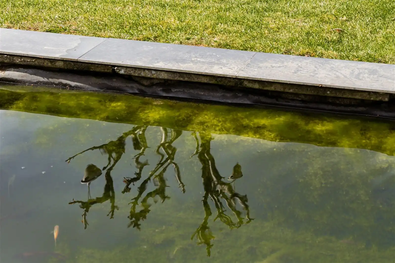 Knusse bungalow met 3 kamers en zuidgerichte tuin op 9are05 foto 28
