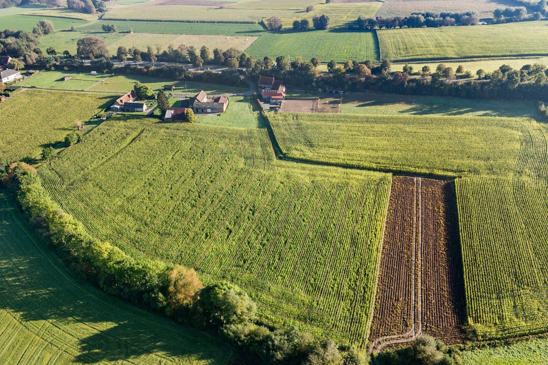 Authentieke hoeve aan de voet van de Kwaremont foto 12