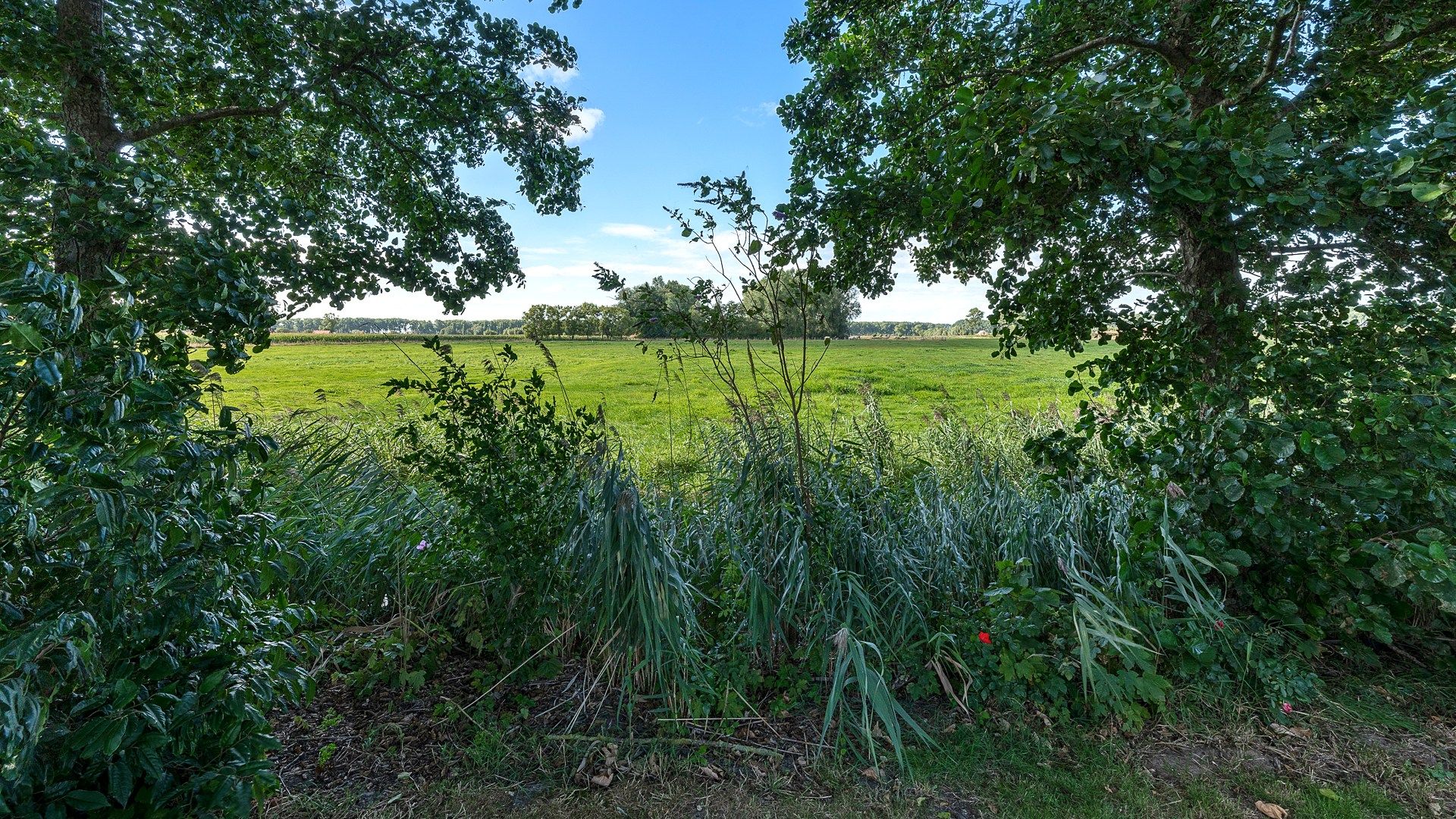 Hoeve schitterend gelegen te Damme foto 14
