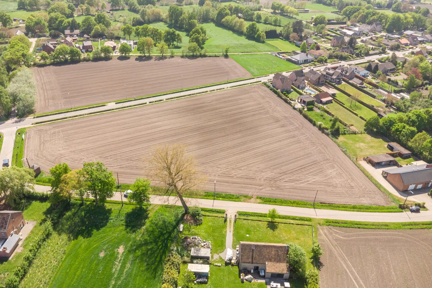 Uitgestrekte landbouwgrond van bijna 3 hectare. foto 6