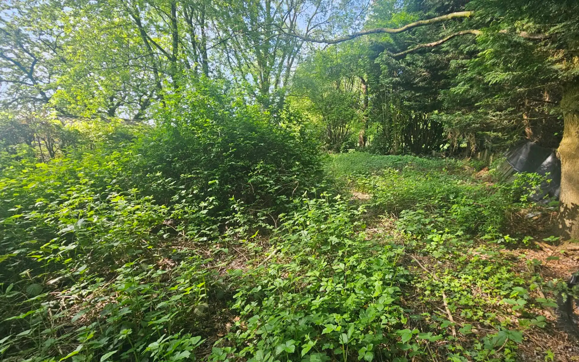 Volledig te renoveren woning  foto 6