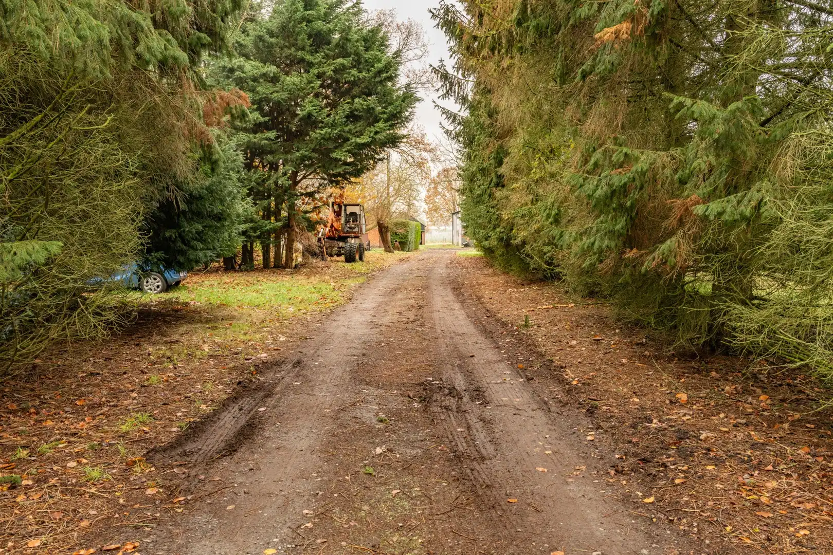 Uitzonderlijk gelegen hoeve op 3,5 ha foto 12