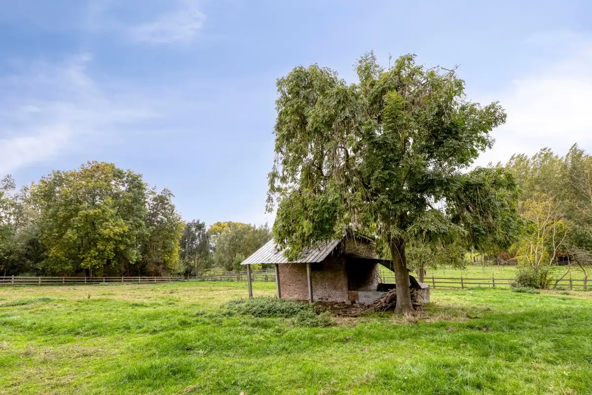 Bouwgrond met te slopen woning (6% BTW mogelijk)! foto 5