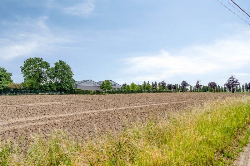 Landelijk gelegen te renoveren woning TE KOOP in Dentergem! foto 42