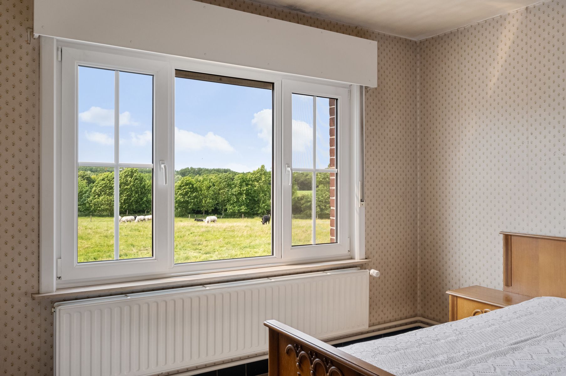 Grote, halfopen woning met grote weide foto 17