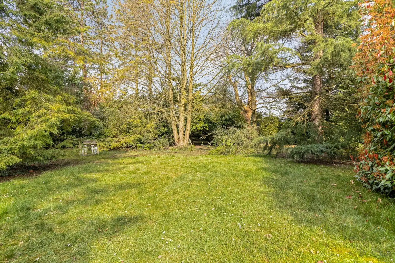 Projectgrond met woning te koop in Schoot, Tessenderlo foto 8