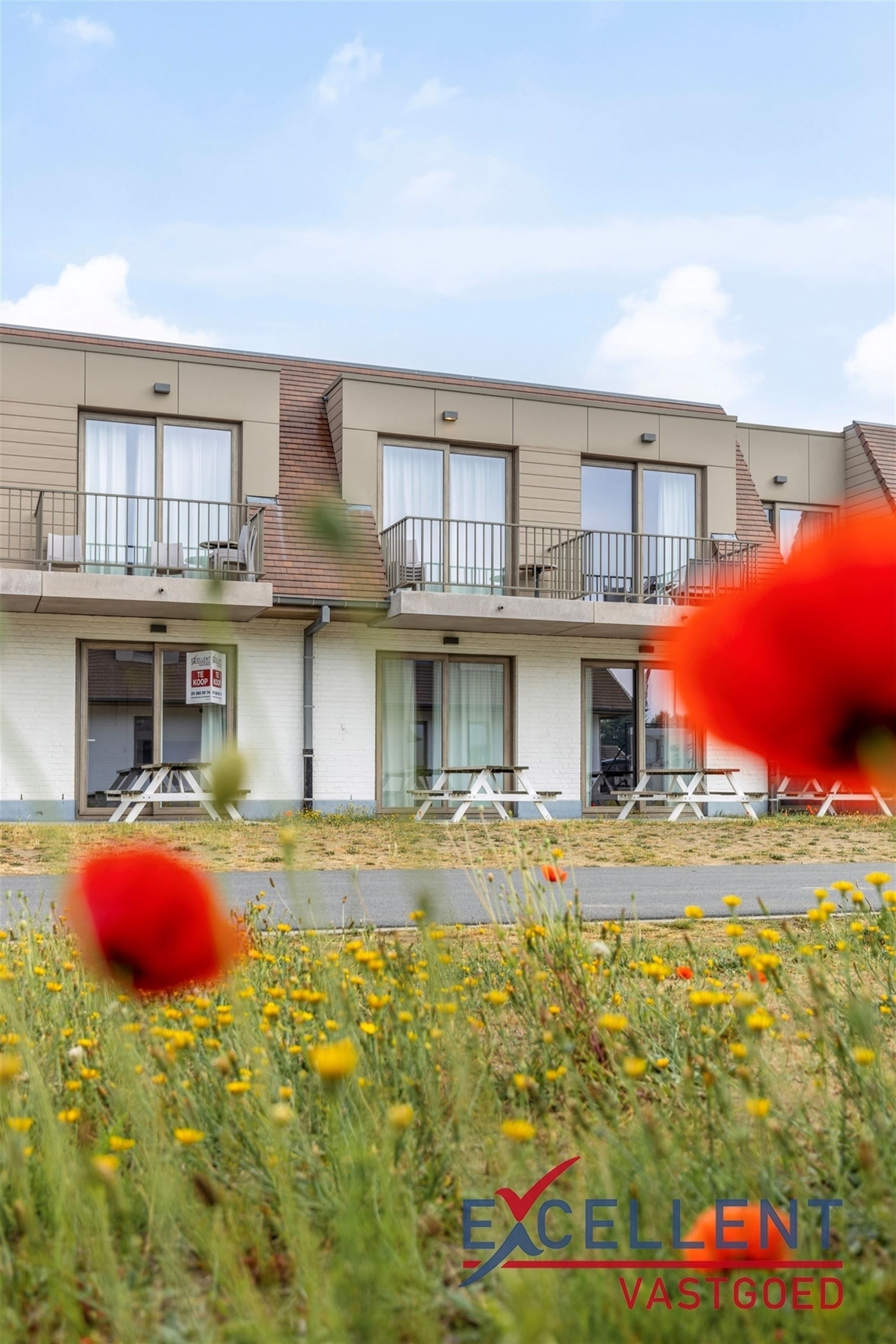 Luxueus vakantieverblijf voor 5 personen te Jabbeke foto 8