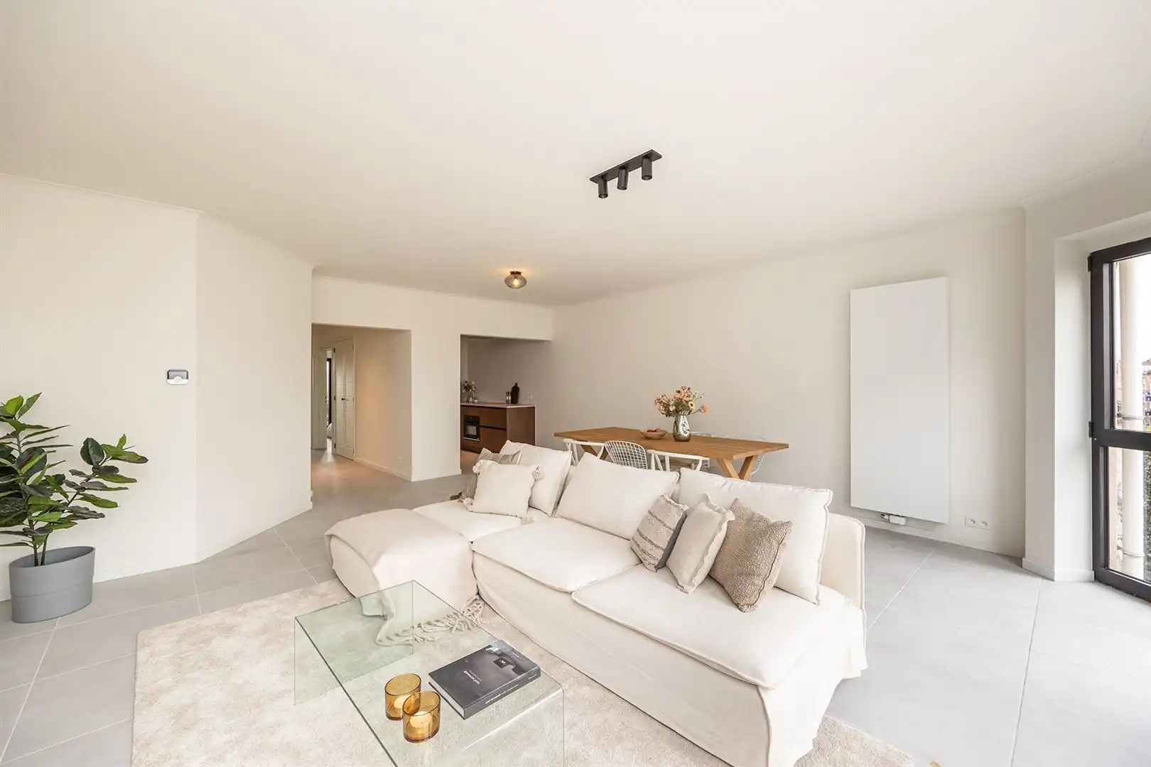 instapklare renovatie met groot terras foto 4