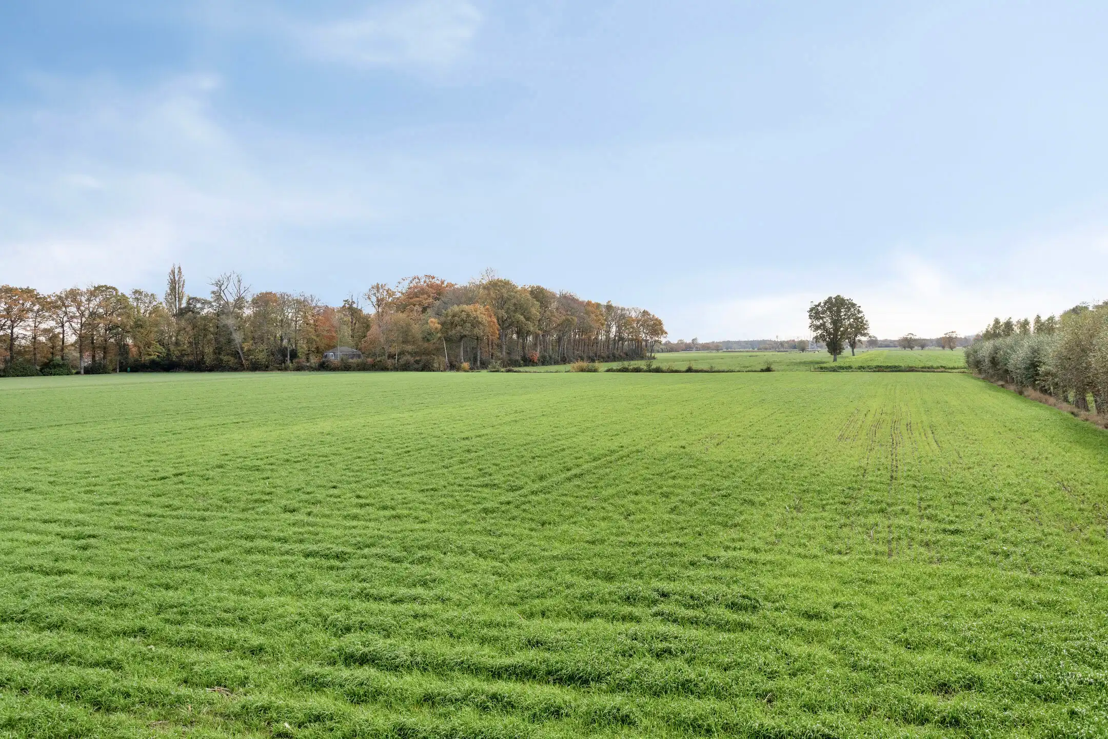 Zuidgerichte bouwgrond van 856 m² te Moerkerke! foto 3