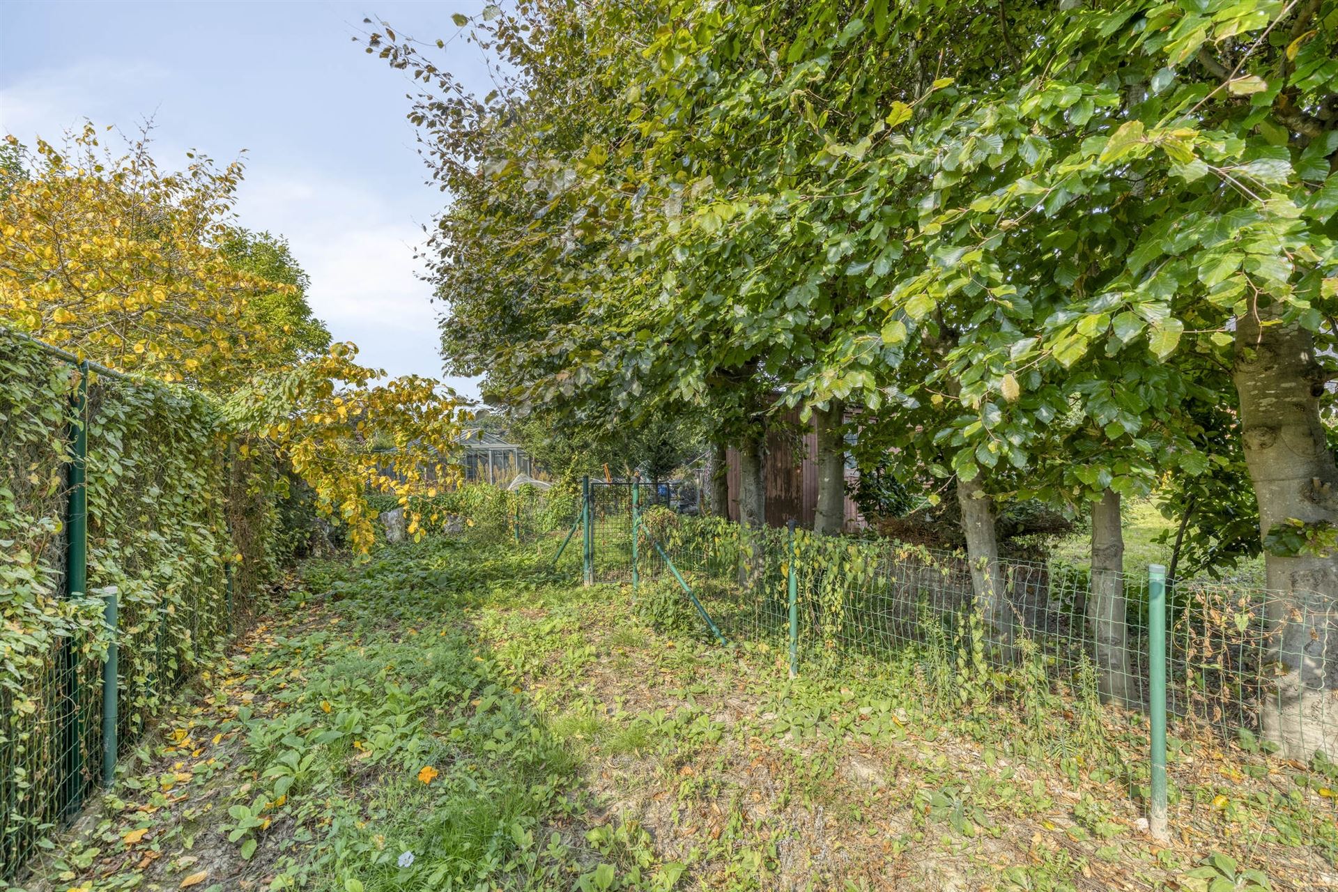 Ruim huis met 4 slaapkamers en grote tuin. foto 21