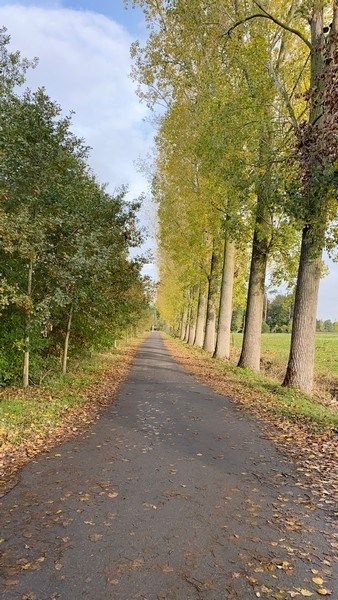 Rustig gelegen kantoorruimte te huur in gerenoveerde hoeve te Heusden foto 18