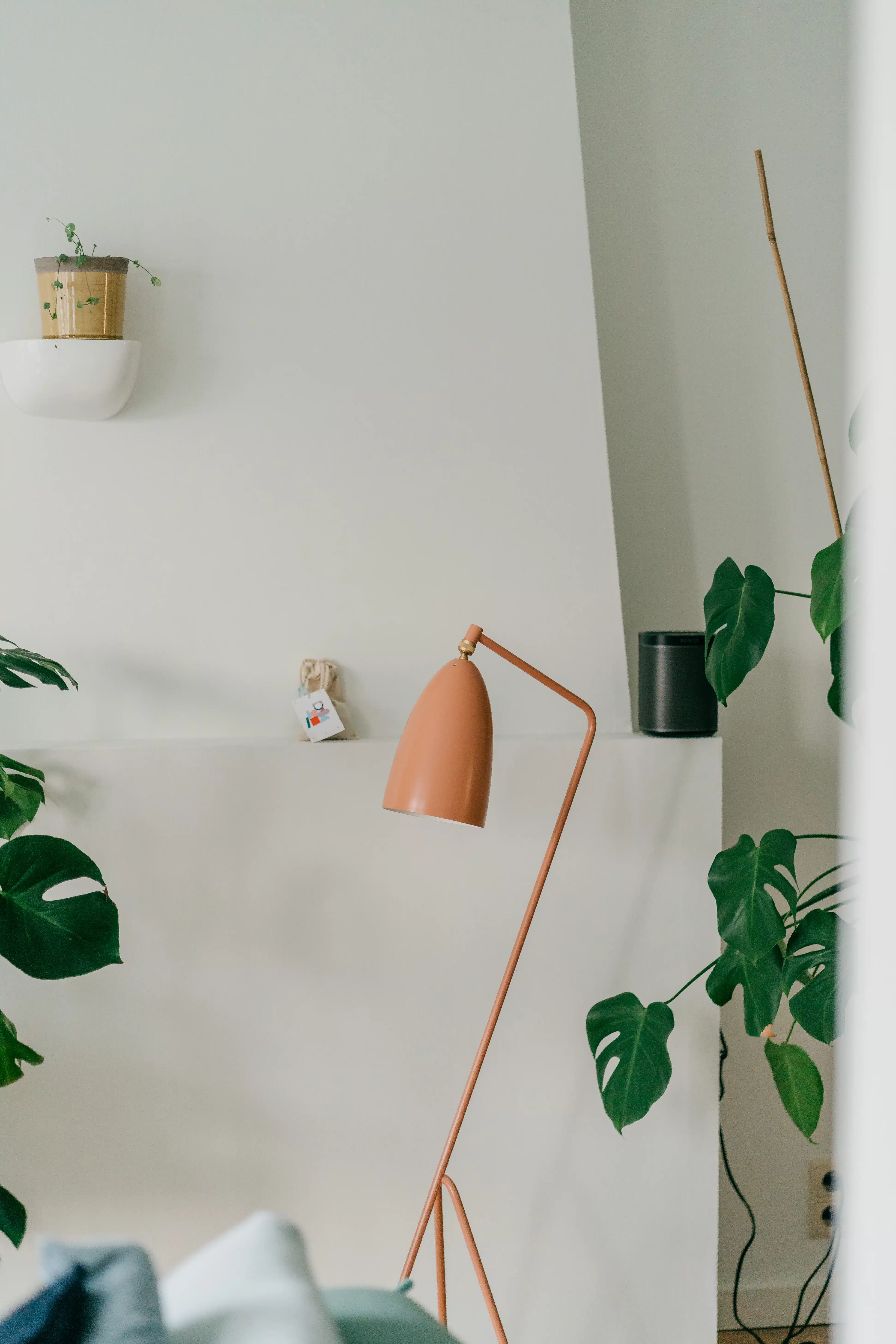 Fifty shades of green appartement in de wijk Groenenhoek in Berchem foto 7