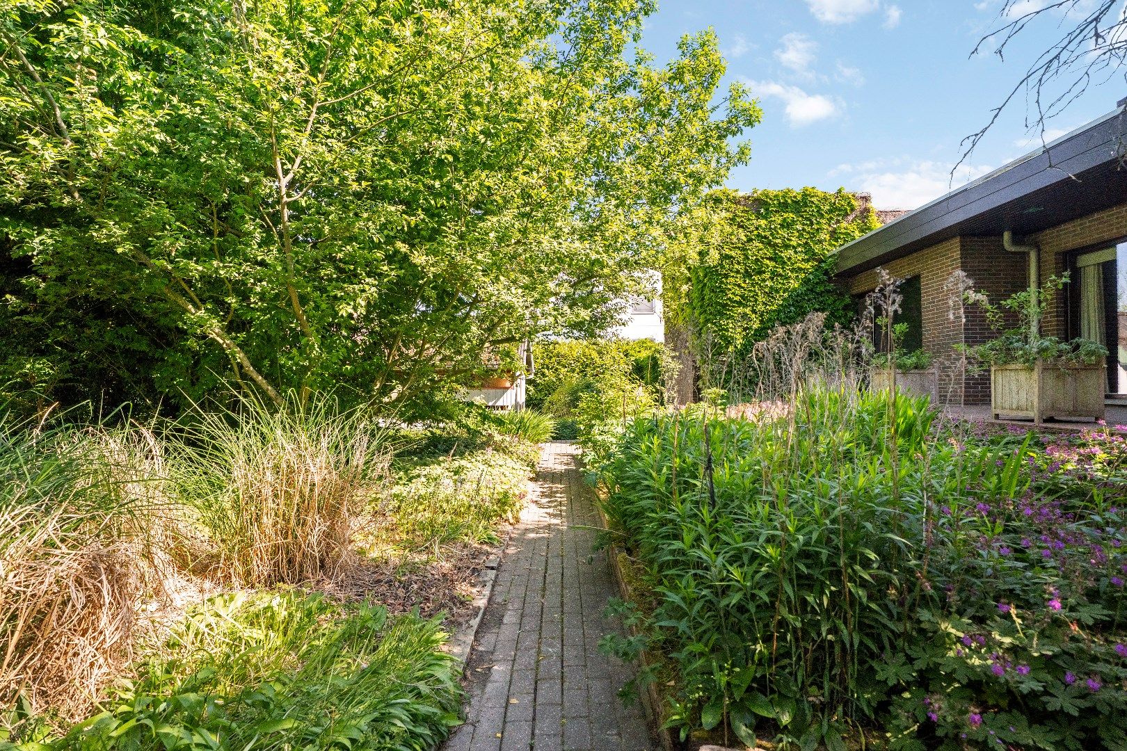 VERRASSEND RUIME ALLEENSTAANDE WONING OP 1.298 m² foto 20