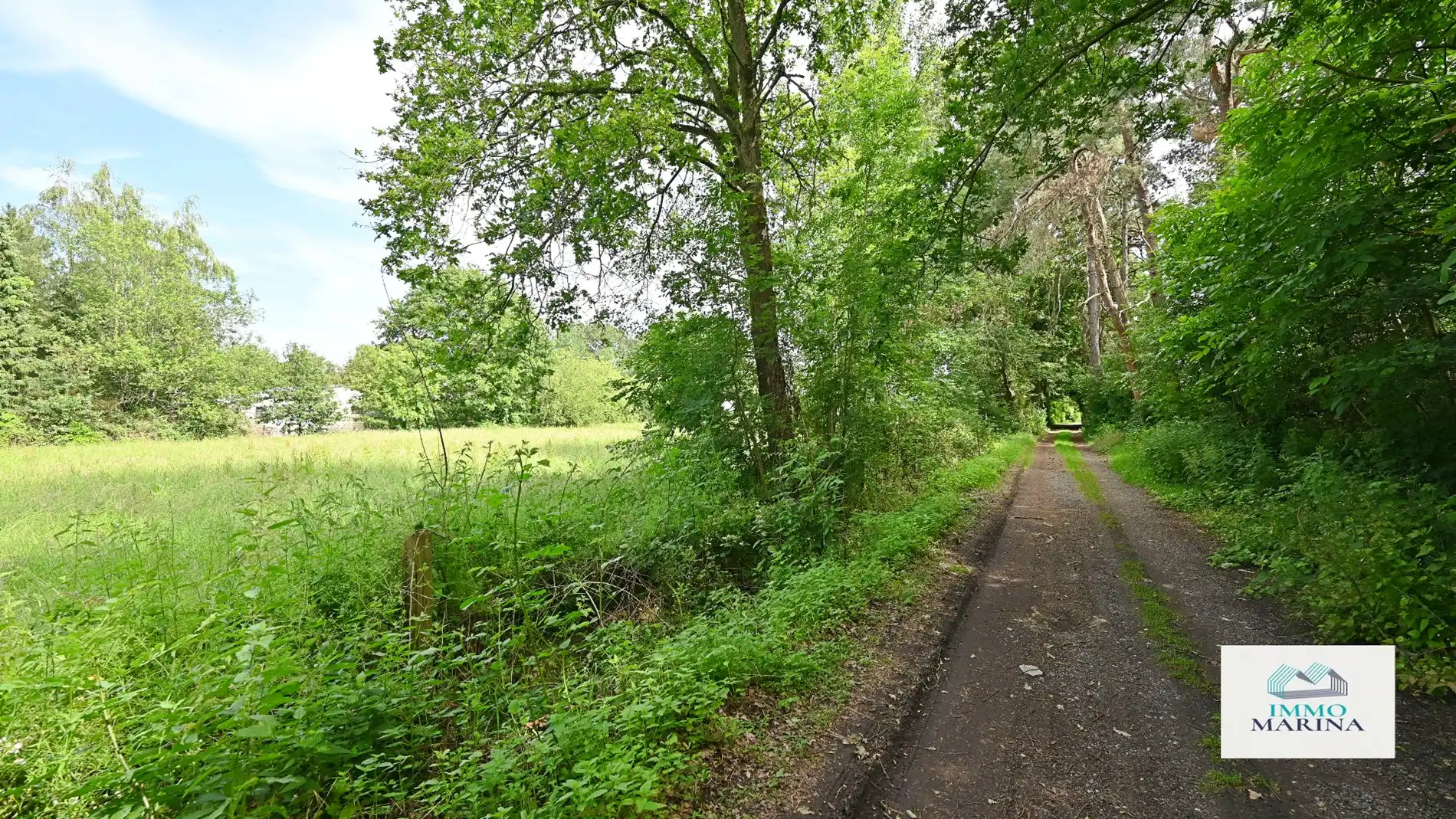 Landbouwgrond / paardenweide te koop te Baal foto 15
