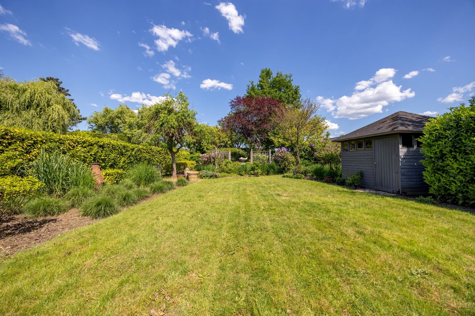 Laagbouw, OB, met prachtige tuin! foto 16
