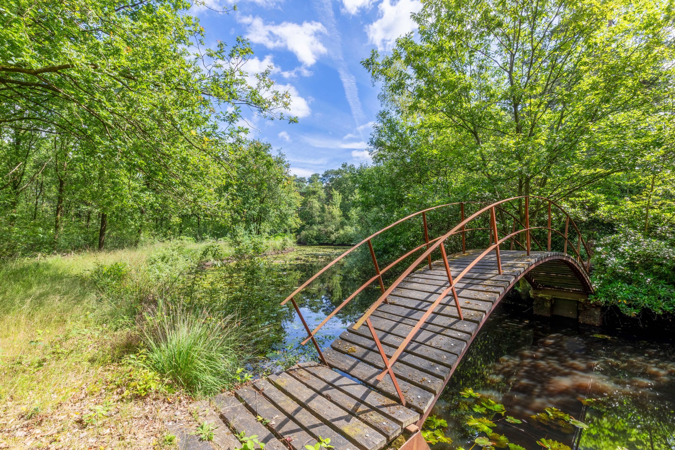 Uitzonderlijk domein met woonst op ca. 143.000 m² foto 2