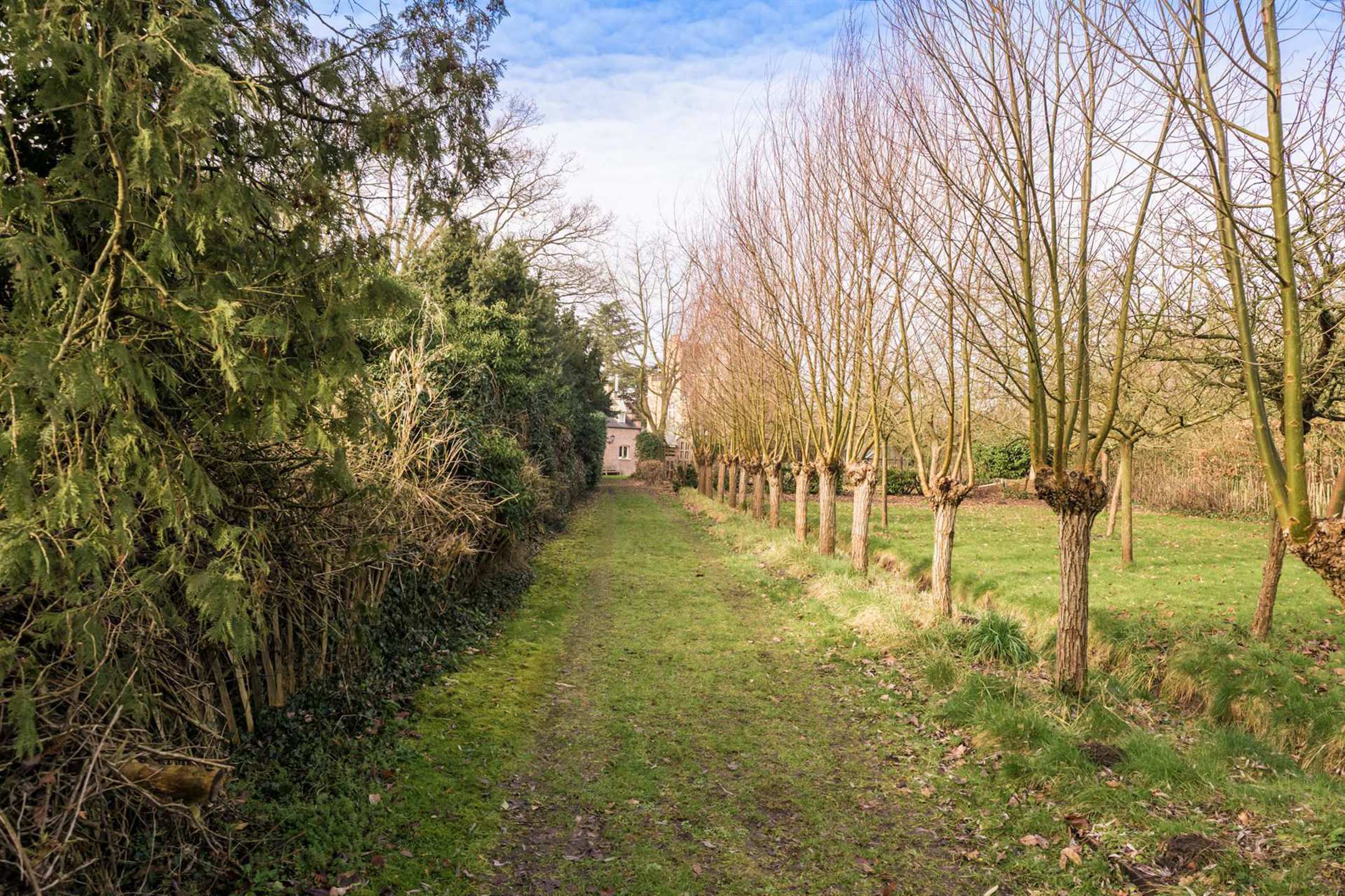 Uitzonderlijke kasteelvilla met siertuin en boomgaard foto 25