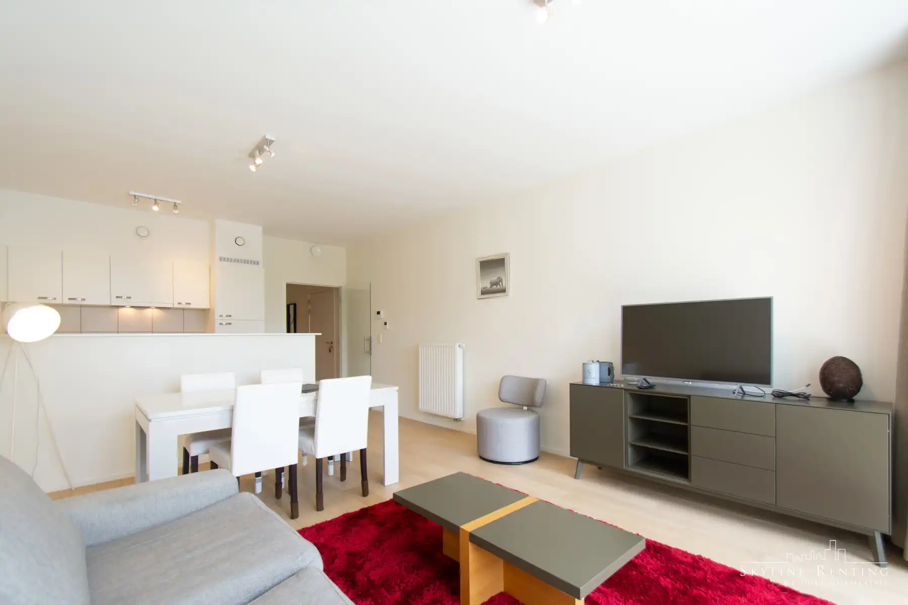 LICHTRIJK - Gemeubeld 1k appartement met terras (NAVO area) foto 4