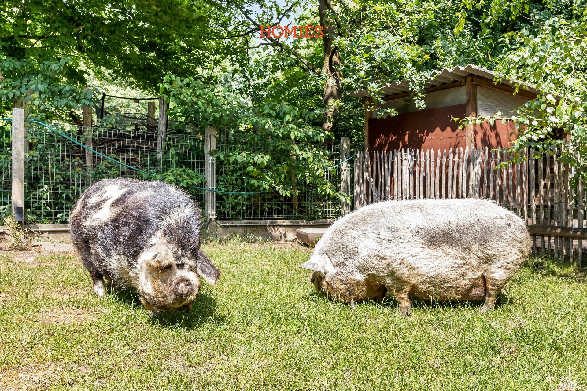 Duurzame woning met 3 slaapkamers en grote tuin foto 22