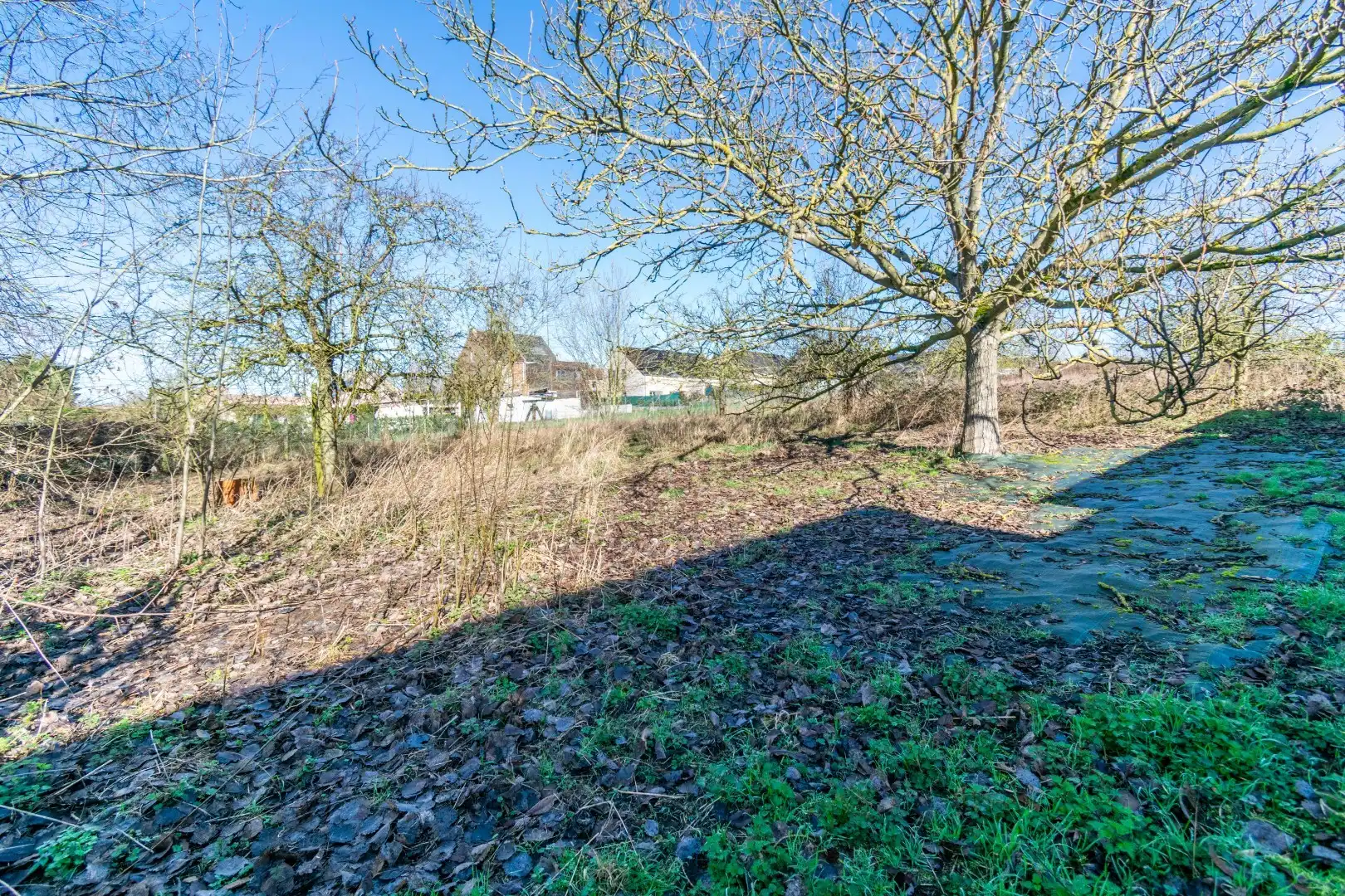 GERESTAUREERDE FERMETTE MET 5SLP OP 31ARE! foto 25