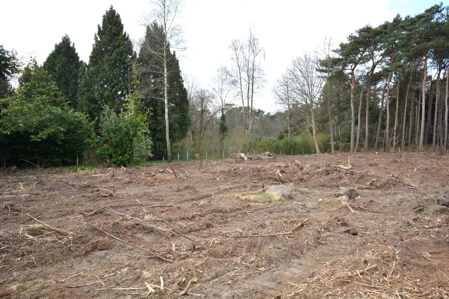 PERCEEL RECREATIEGROND VAN 1.610 m² foto 4