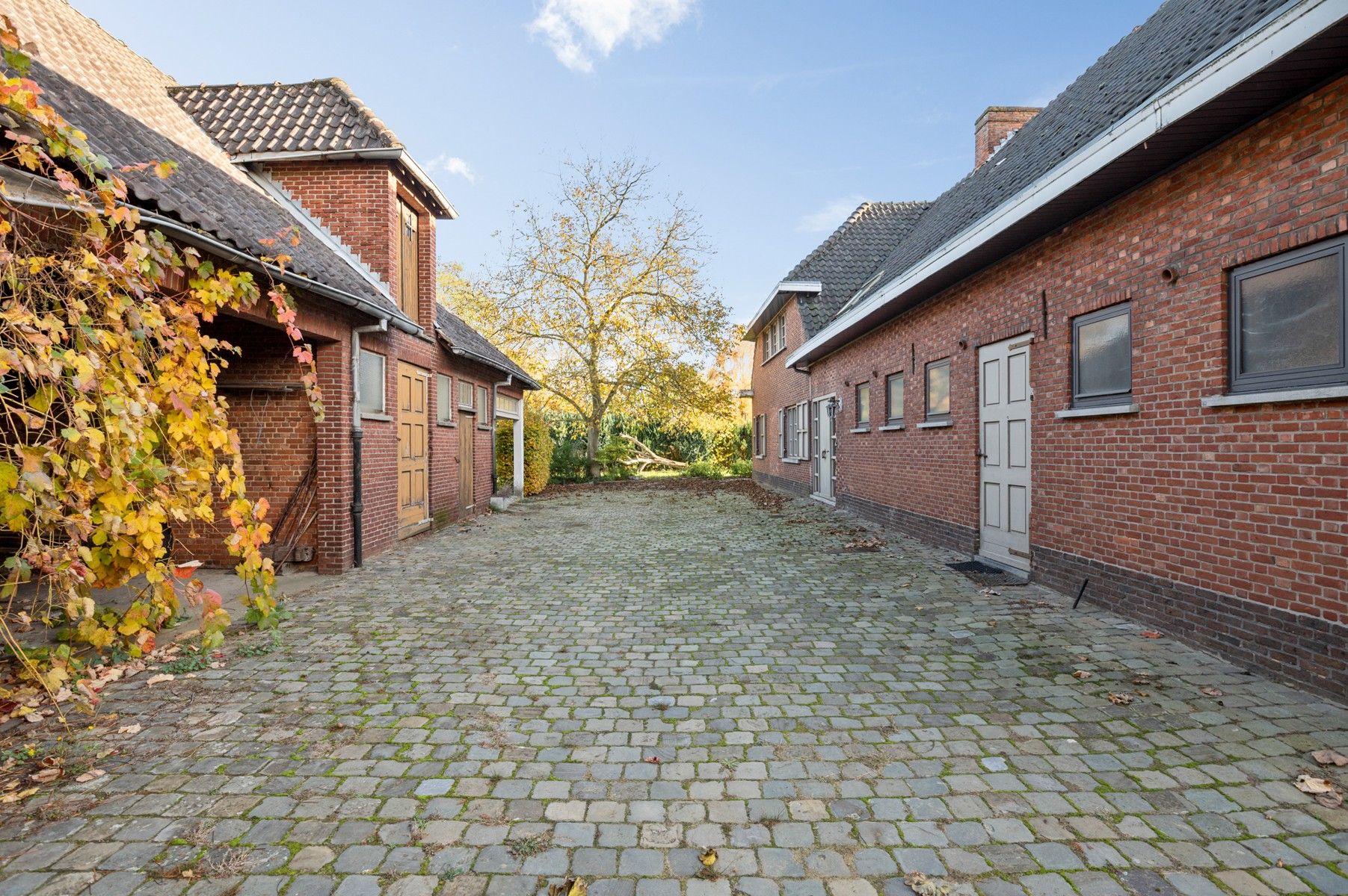 Hoevevilla op uniek perceel met veel potentieel foto 7