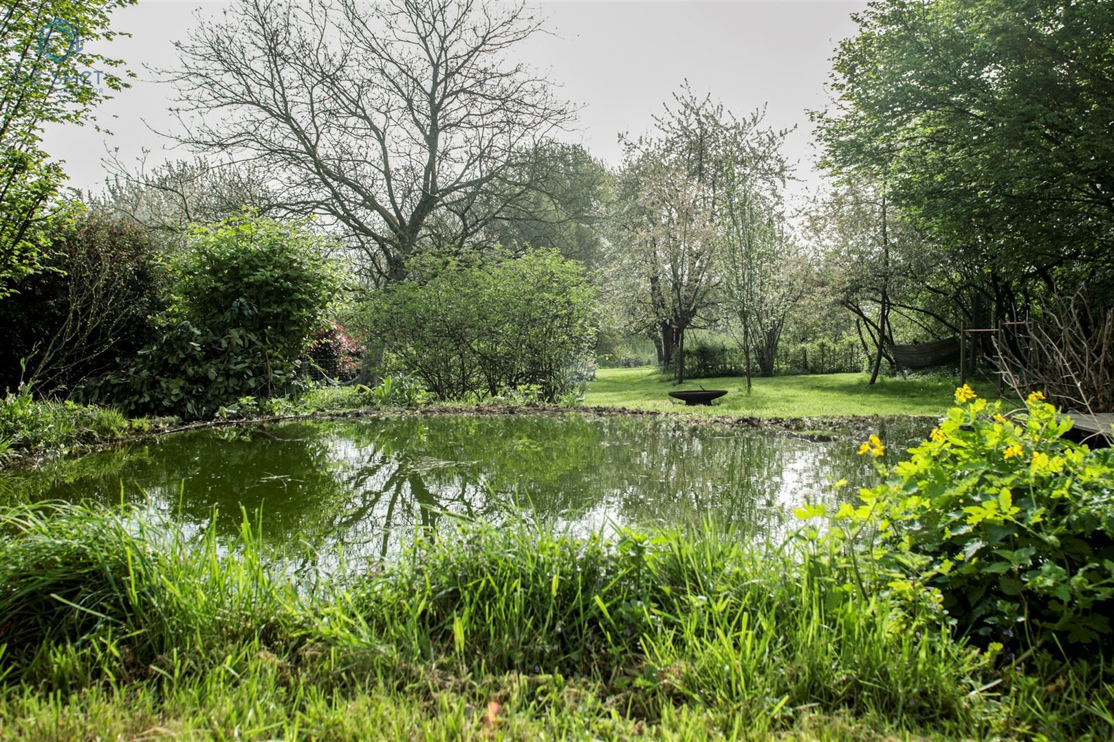 De verborgen oase van rust in het Pajottenland  foto 3