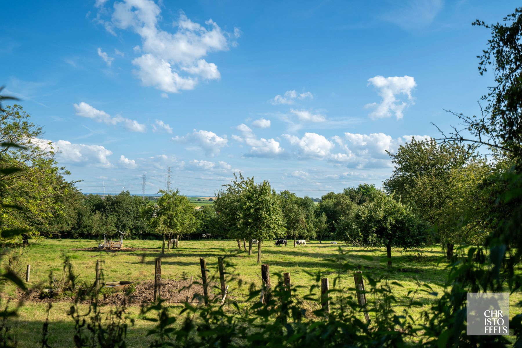 The Farm Herderen  foto 12