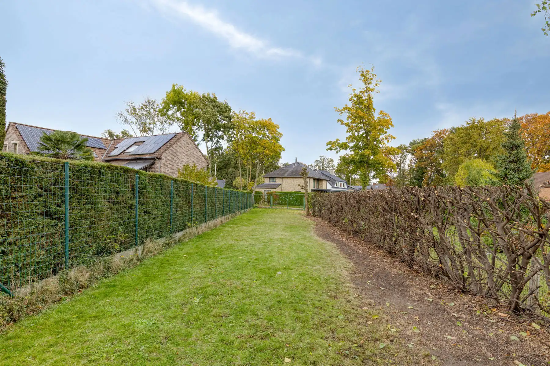 WSB-immo: Ruime 4-gevelwoning met veel potentieel op 11a19ca foto 24