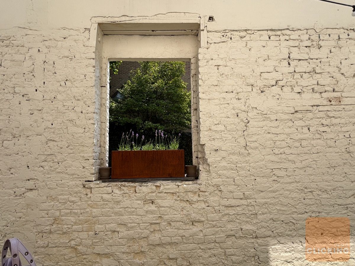 Slim wonen in stijl: volledig gerenoveerde woning in het groene Borchtlombeek foto 11