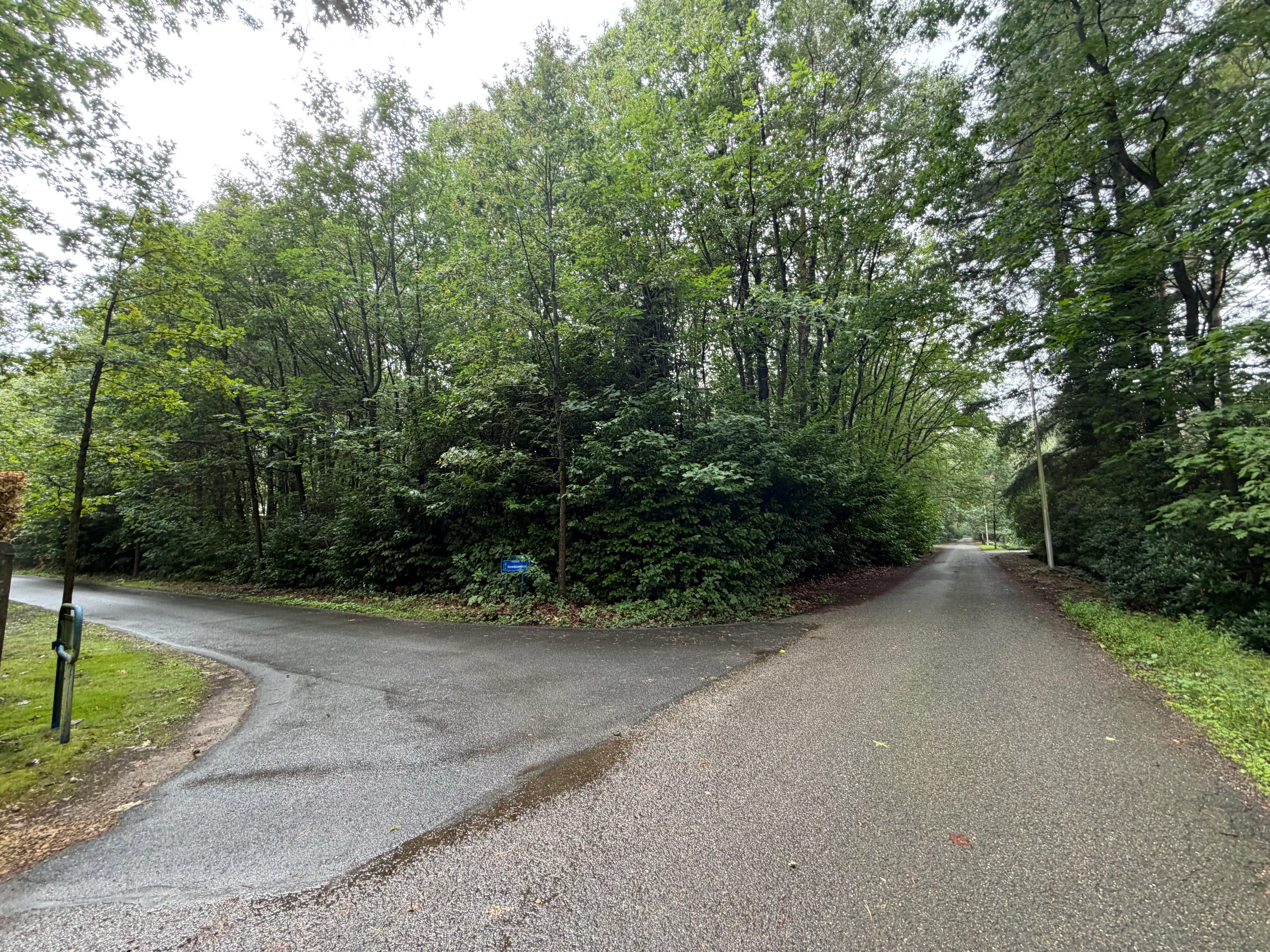Prachtige bouwgrond 4250M2 met kleine woning erop. Oase van groen , rustig, veel privacy! foto 4