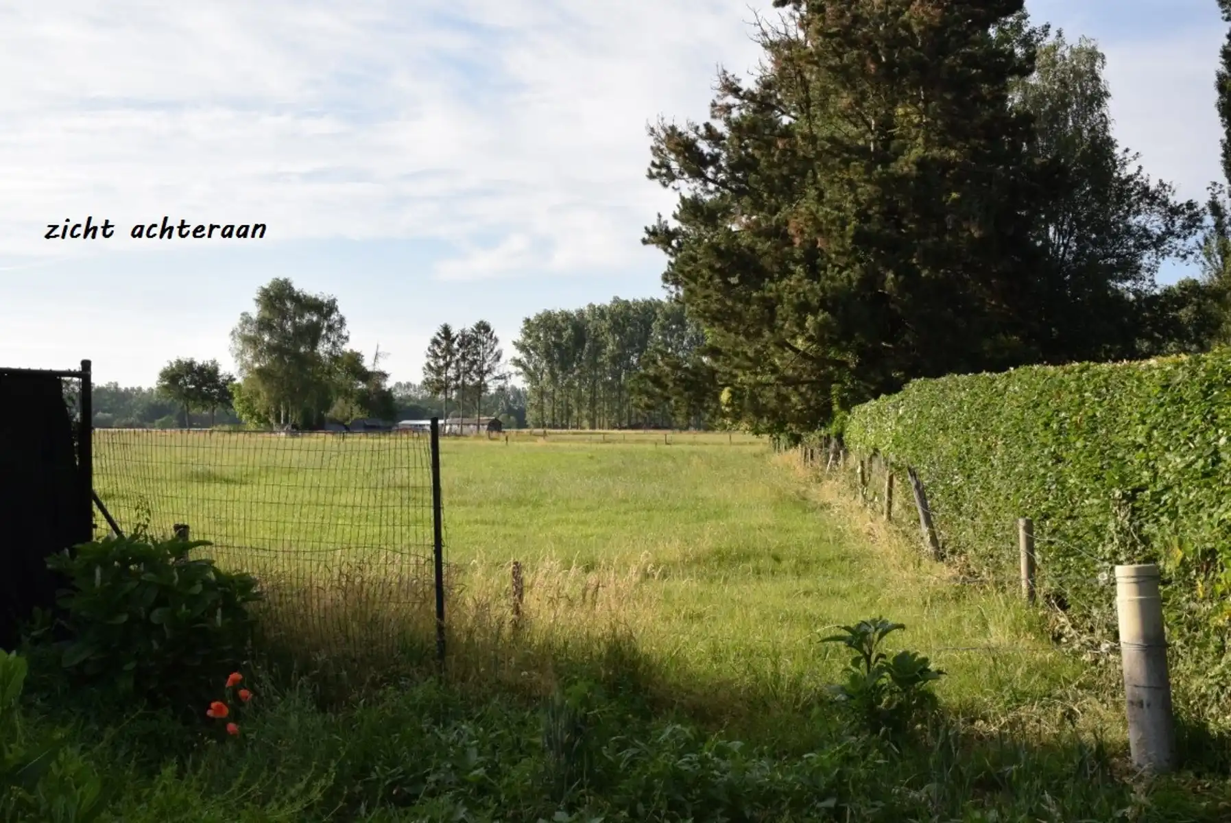 Energiezuinige woning in Lippelo – Lot 2 foto 4