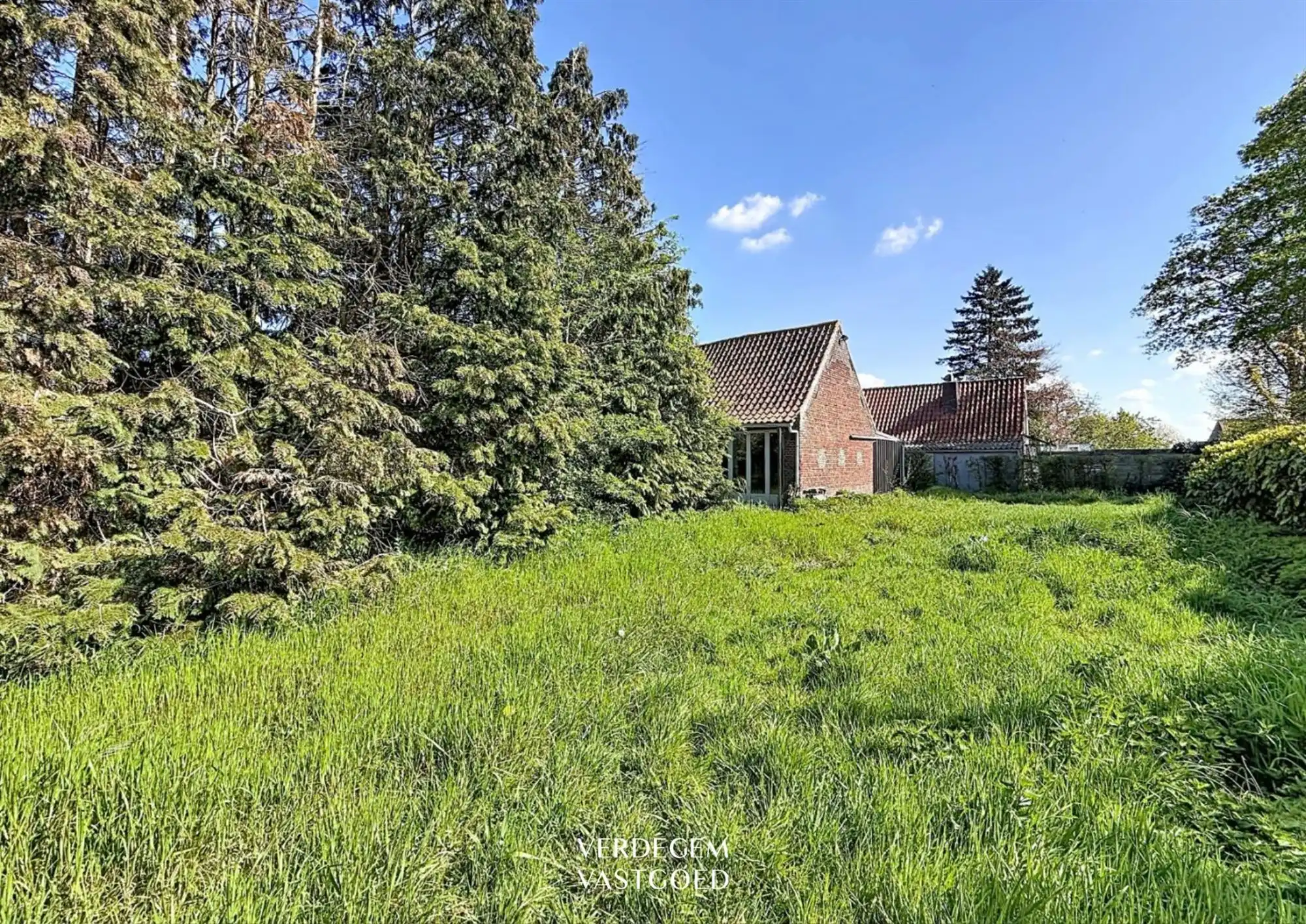 Te renoveren hoeve met schuur op een terrein van 1.634m² foto 25