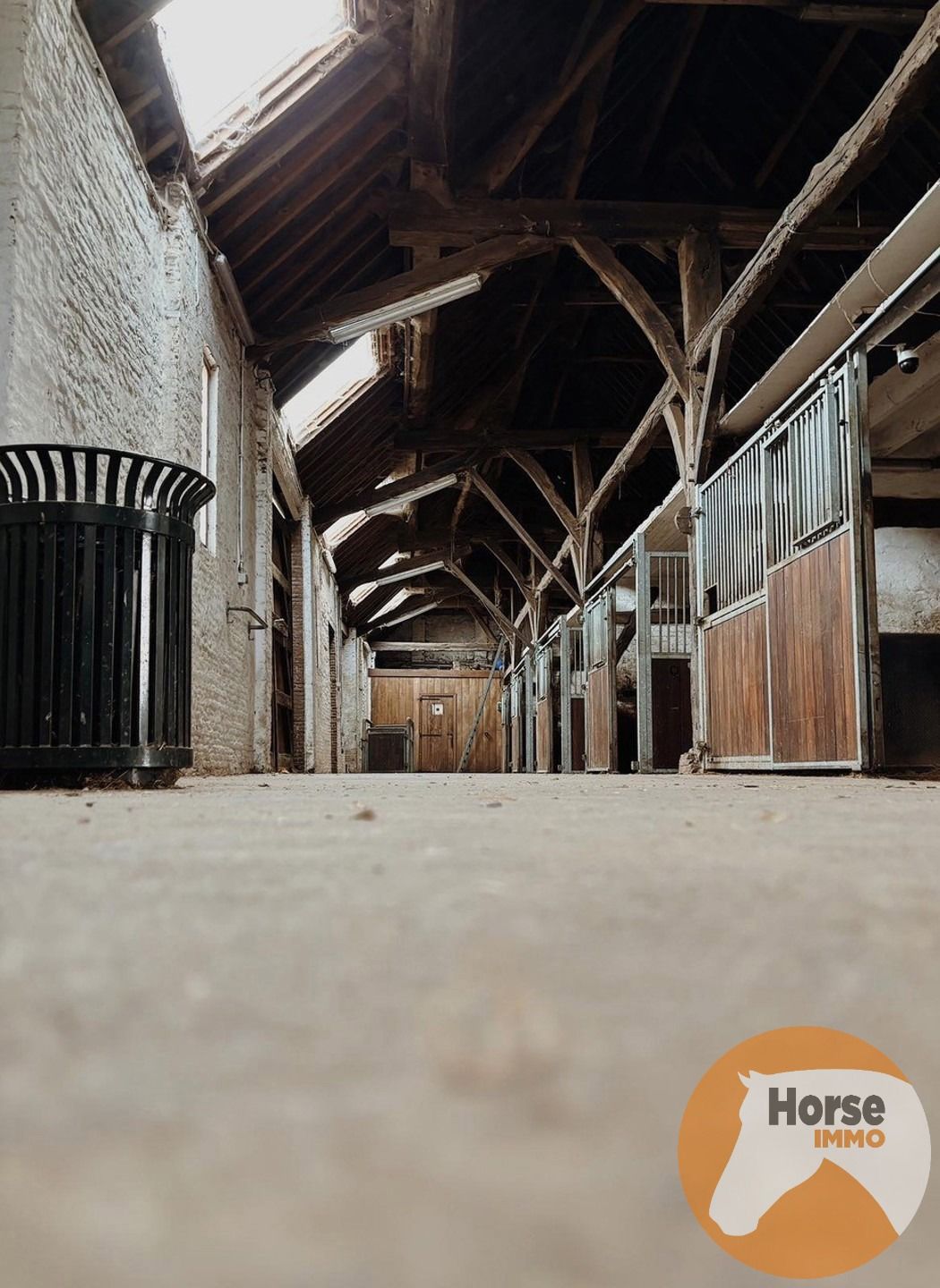 REET – 10 paardenstallen, buitenpiste en weides foto 4