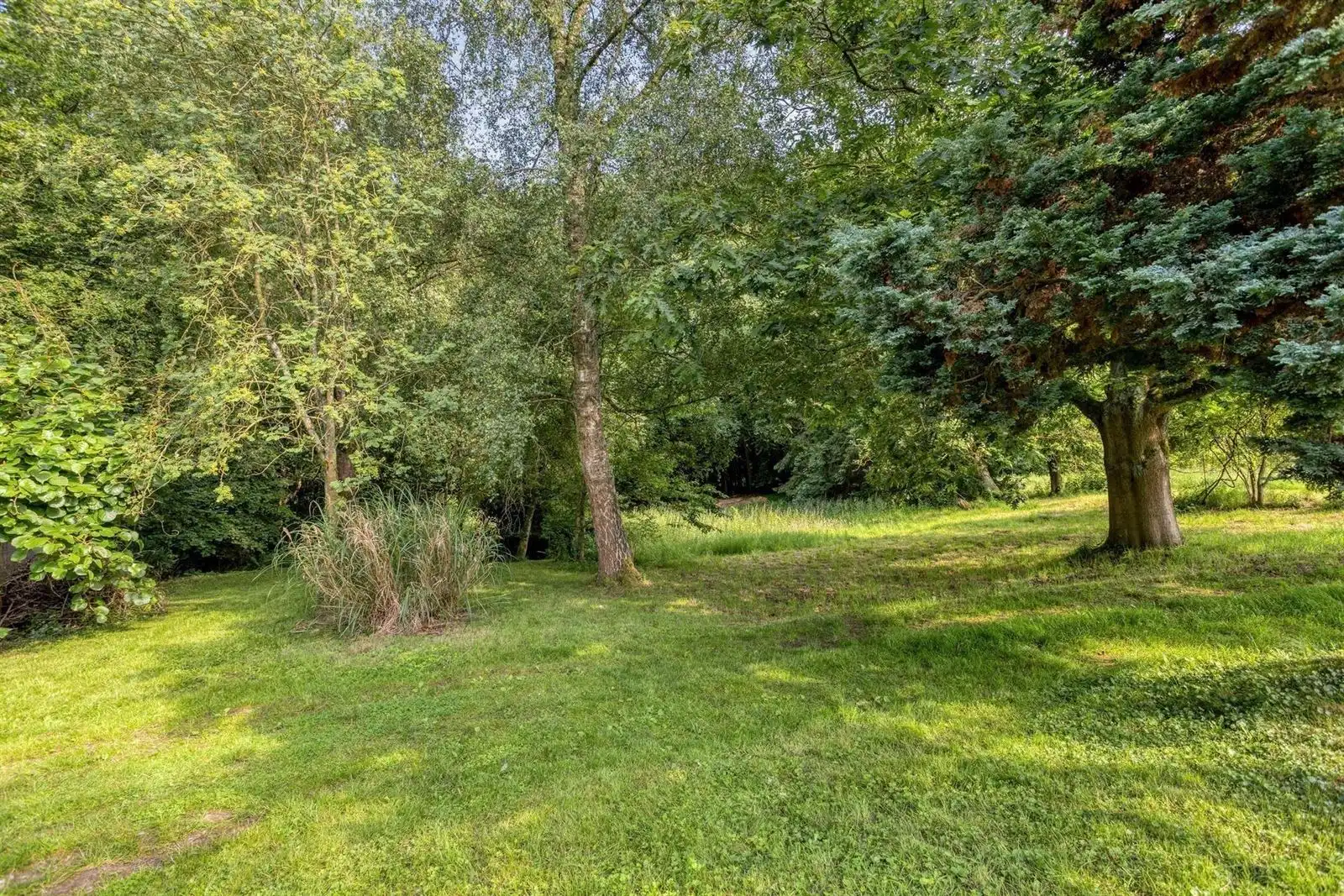 Uitzonderlijke eigendom - 4gevel (43a54ca) naast Hallerbos  foto 20
