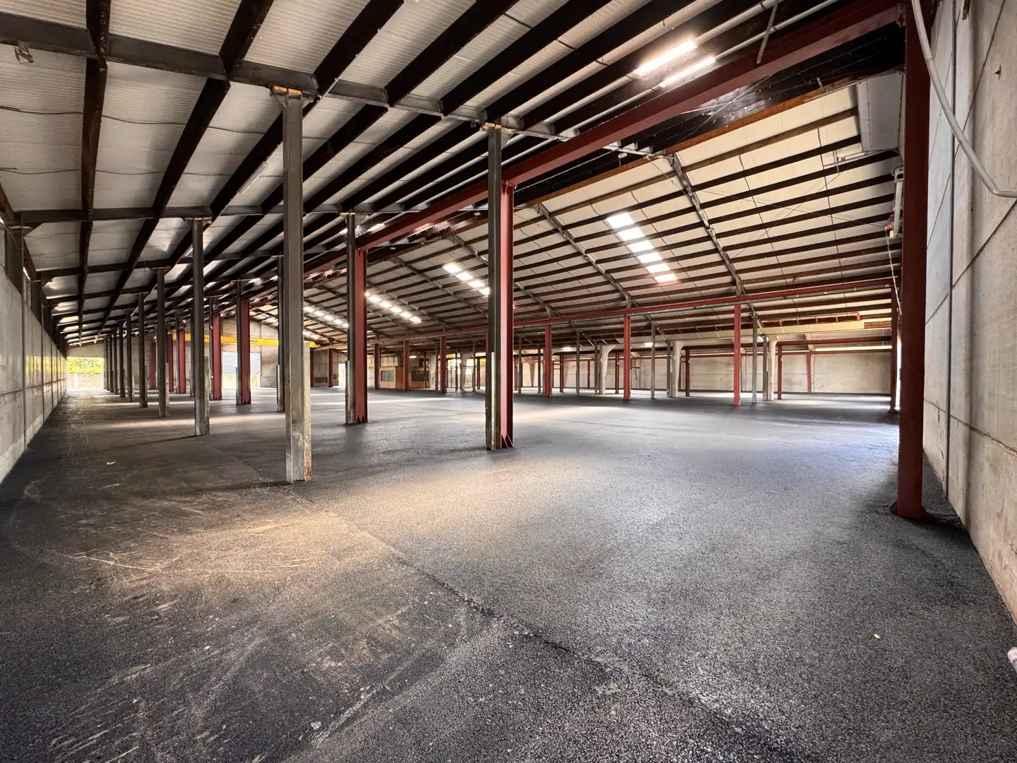 Magazijnruimte van 1.890 m² in Zwevezele foto 4