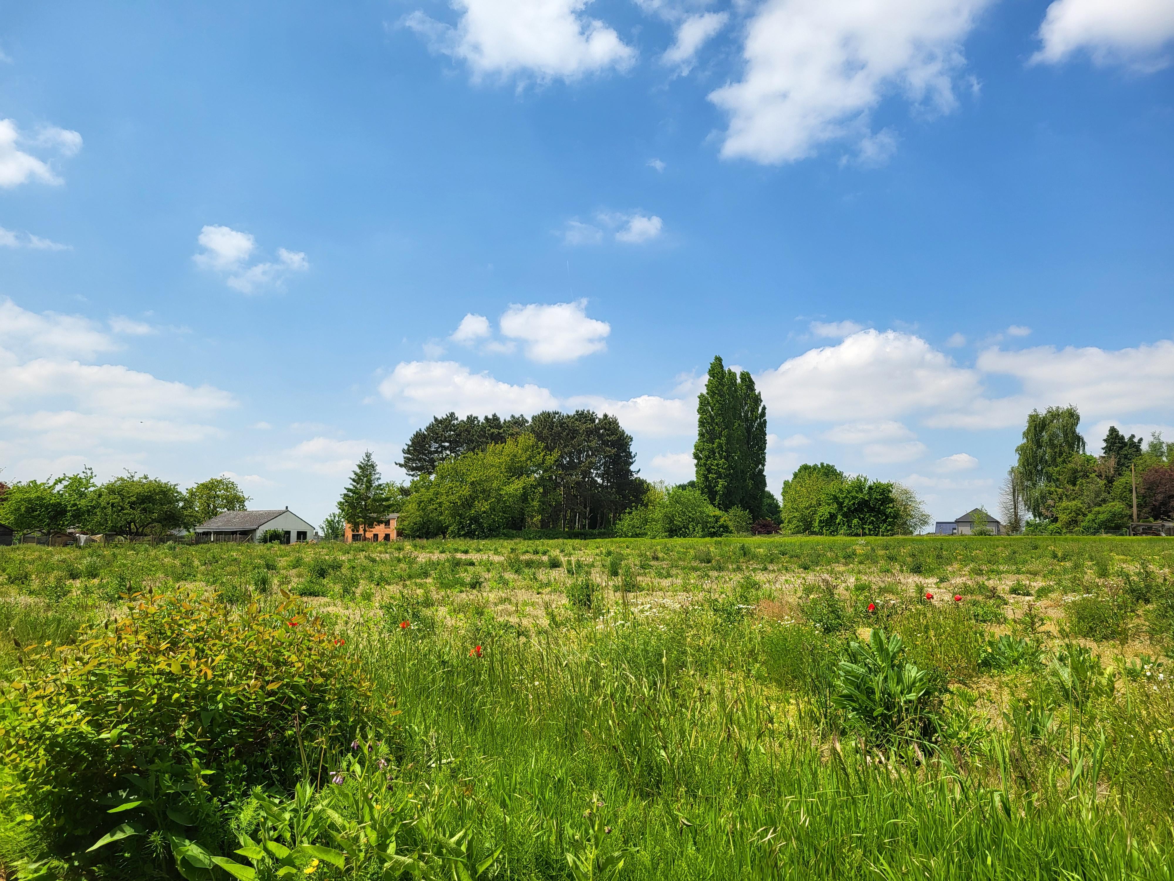 Woning 6 is een gesloten bebouwing foto 5