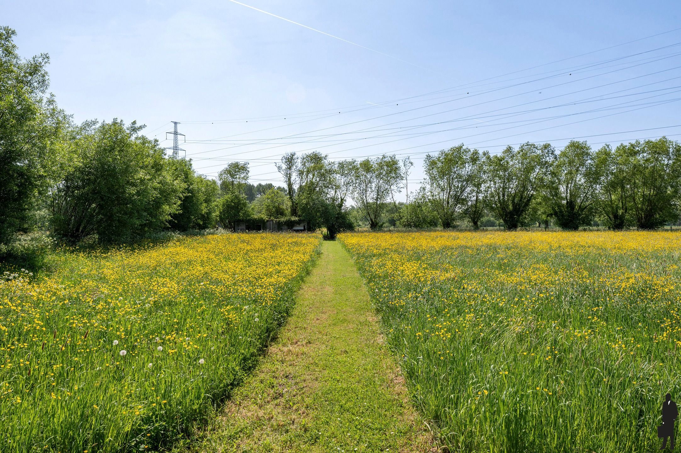 Exclusieve villa in pastoriestijl met zicht op natuurgebied op 6.391 m². foto 27