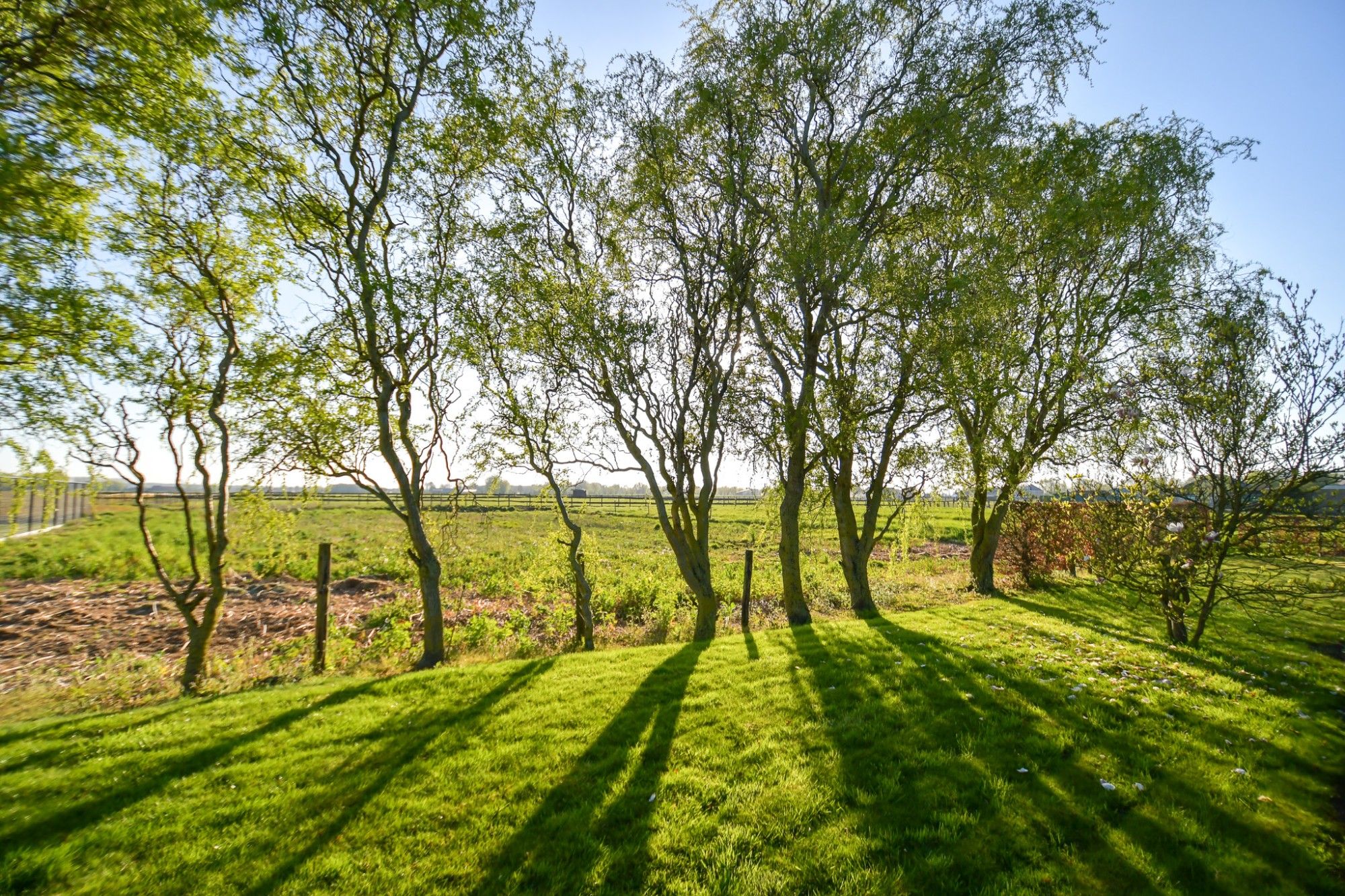 LANDELIJK GELEGEN WONING met LOODS & WEILAND op  3173 m² foto 3