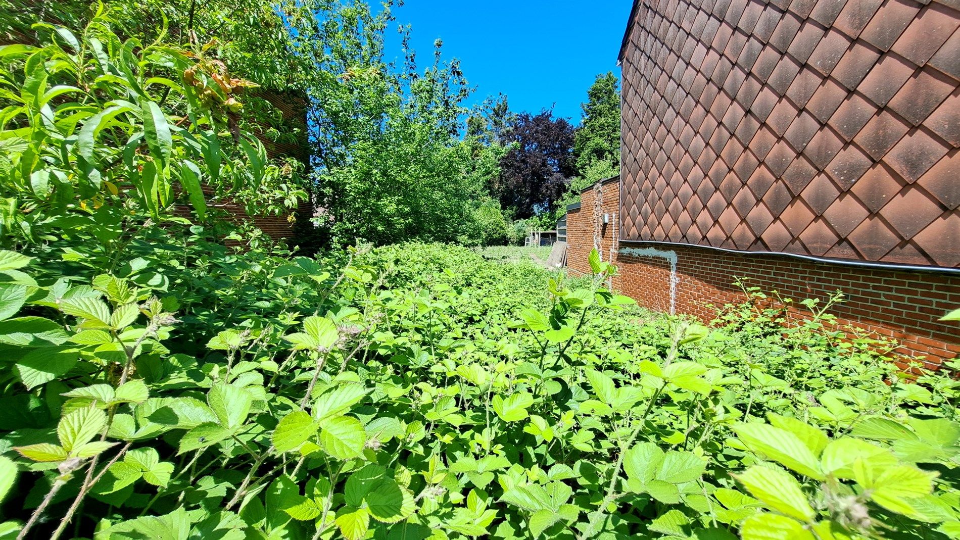 Bouwgrond voor gesloten bebouwing van 4a 10ca foto 3