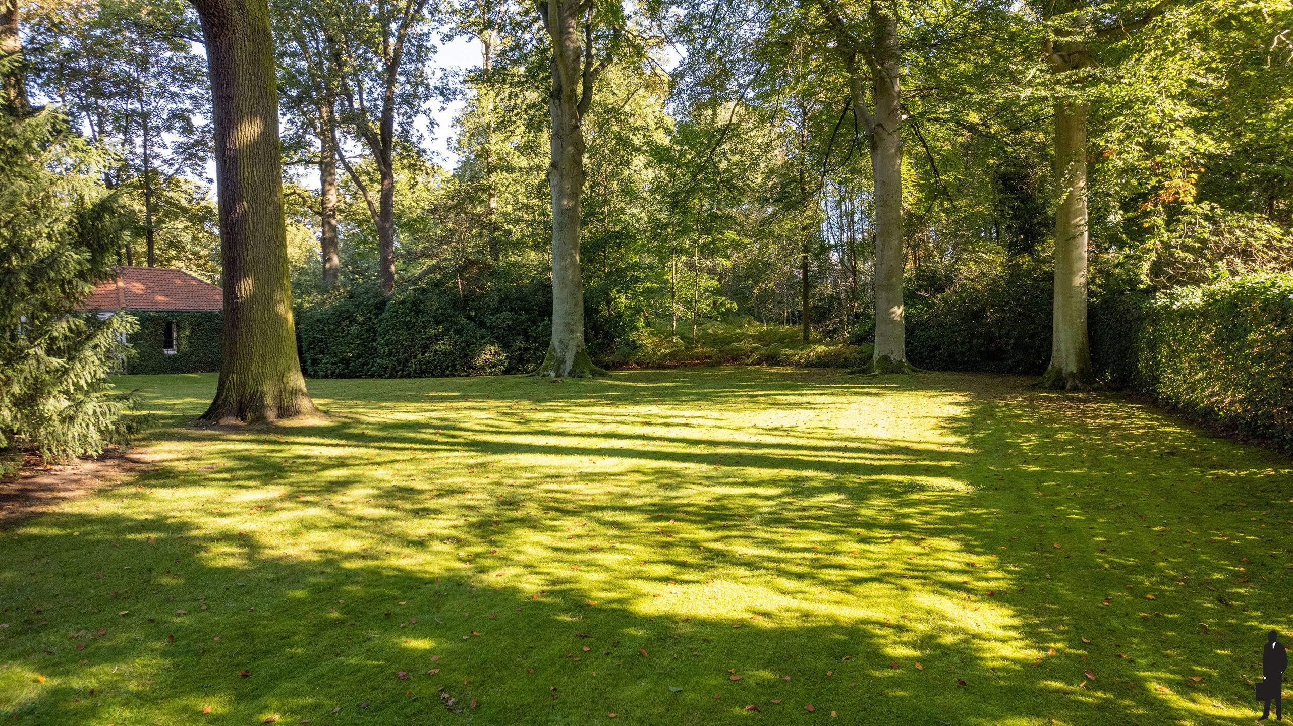 In Vriesdonk, rietgedekte karaktervolle villa met authentieke elementen, prachtige parktuin, hoge plafonds en veel verbouwingspotentieel!  Grondoppervlakte  is ca. 9127m². foto 17