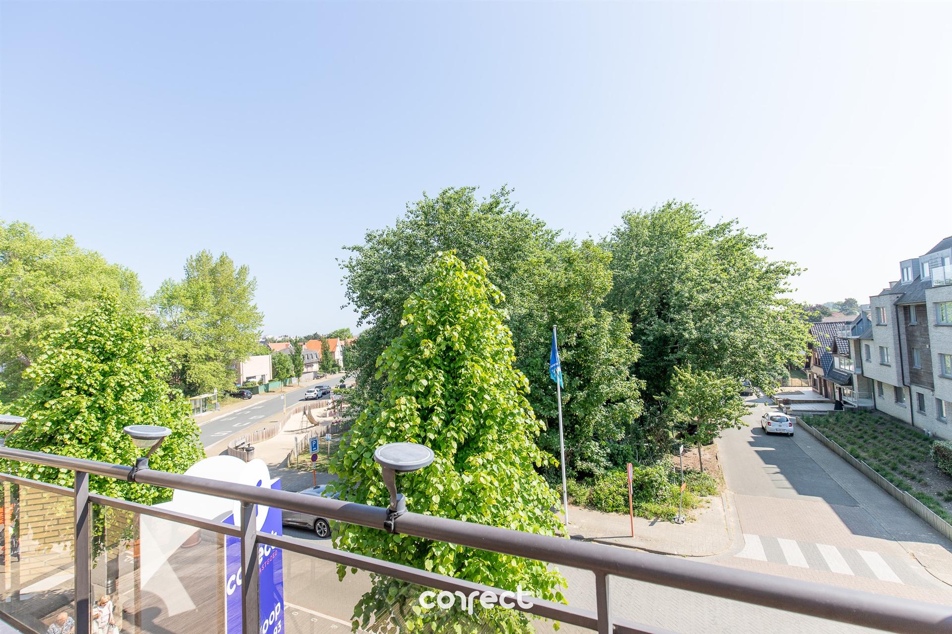 Instapklaar 1-slaapkamerappartement in Sint-Idesbald foto 23